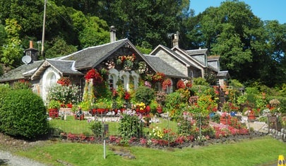 House front garden